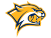 Wildcats Cut Gold Yellow Image